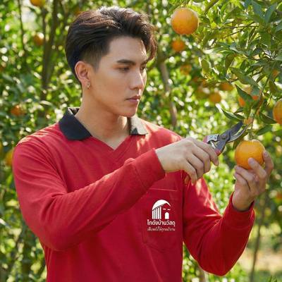เสื้อปุ๋ยคอปกโกดังบ้าน เสื้อผู้บ่าวไทบ้าน ฟรีไซส์ Freesize ใส่ทำงาน