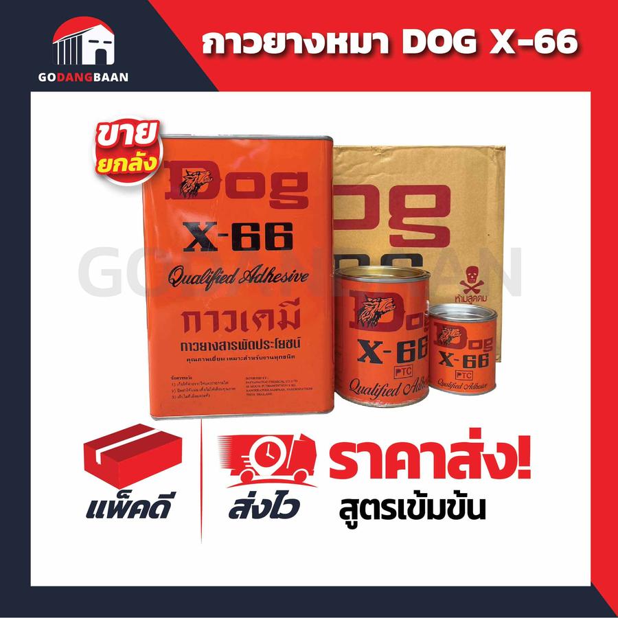 (ส่งยกลัง) กาวยางหมา Dog X-66 อเนกประสงค์ พร้อมส่ง